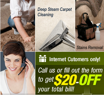 steam cleaning service