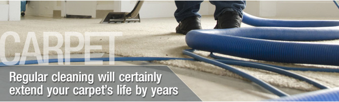 carpet steam cleaning